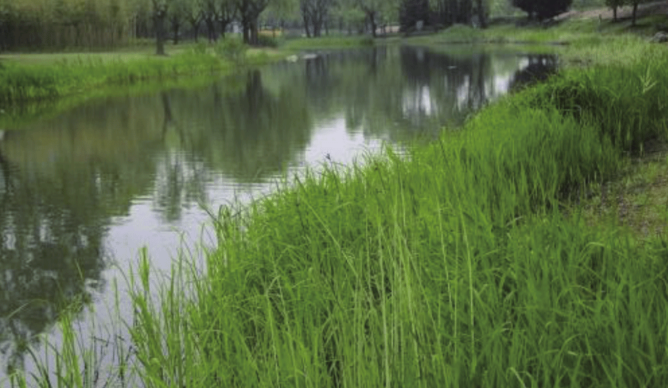 北京都潤(rùn)生態(tài)環(huán)境工程有限公司-小流域治理-永定河灌渠治理工程