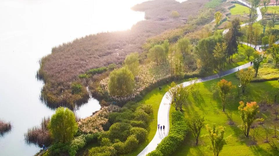 城市濕地公園丨四川南部水城禹跡島公園